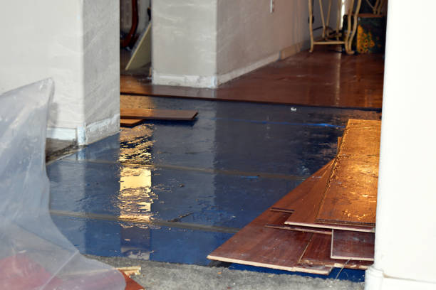 Professional Burst Pipe Water Damage technician working in Medina, NY